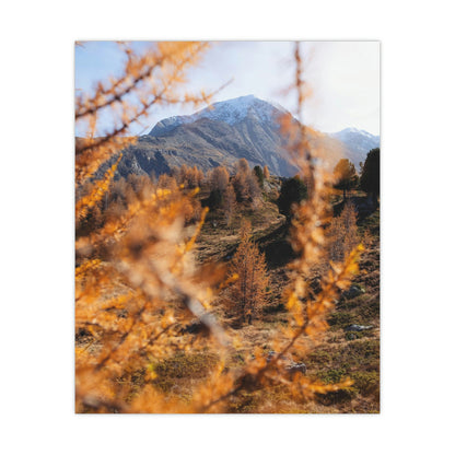 Autumn in Pointresina Poster