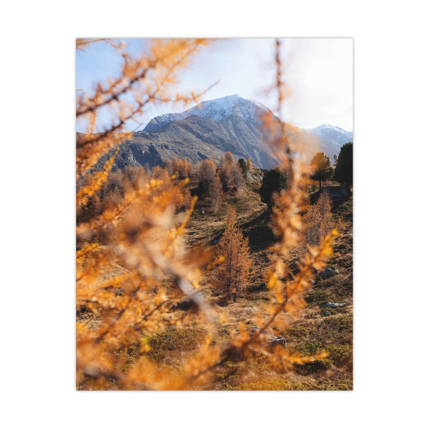 Autumn in Pointresina Poster