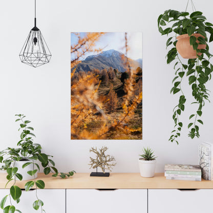 Autumn in Pointresina Poster