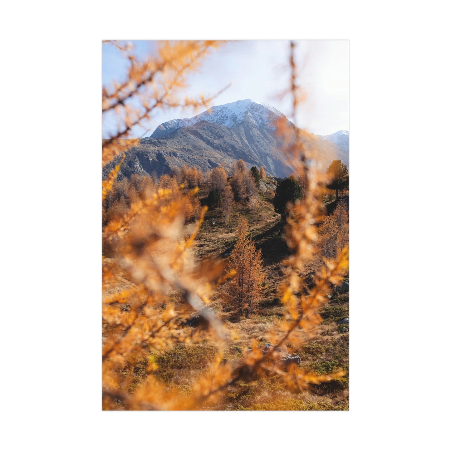 Autumn in Pointresina Poster